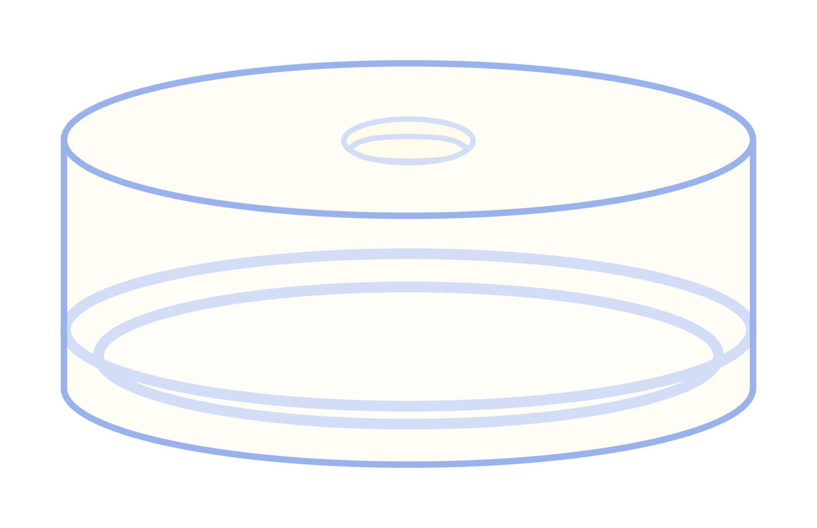 PE-Kap N20-abHS-L tr, Bu/PTFE 55° 1,3 um